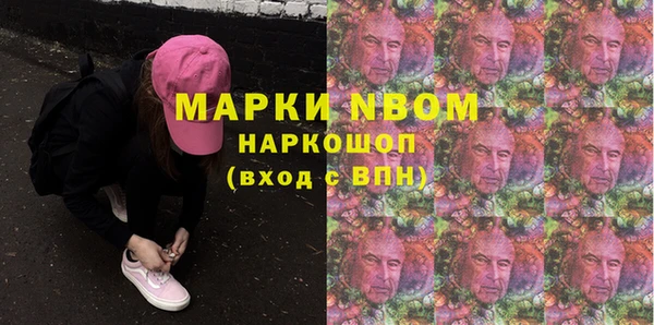 крисы Богородицк