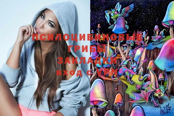 крисы Богородицк