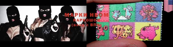 крисы Богородицк