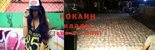 крисы Богородицк